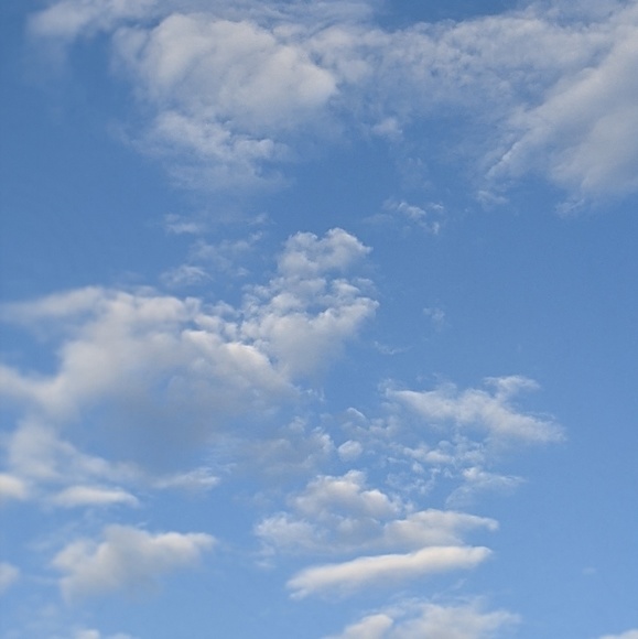 Meet your Posher, Michelle - Picture 1 of 1